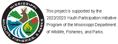 MSWFP_YPI_2022