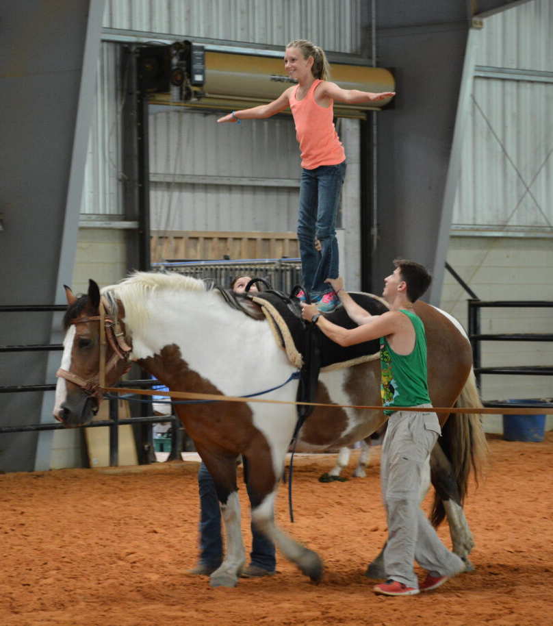 equine therapy