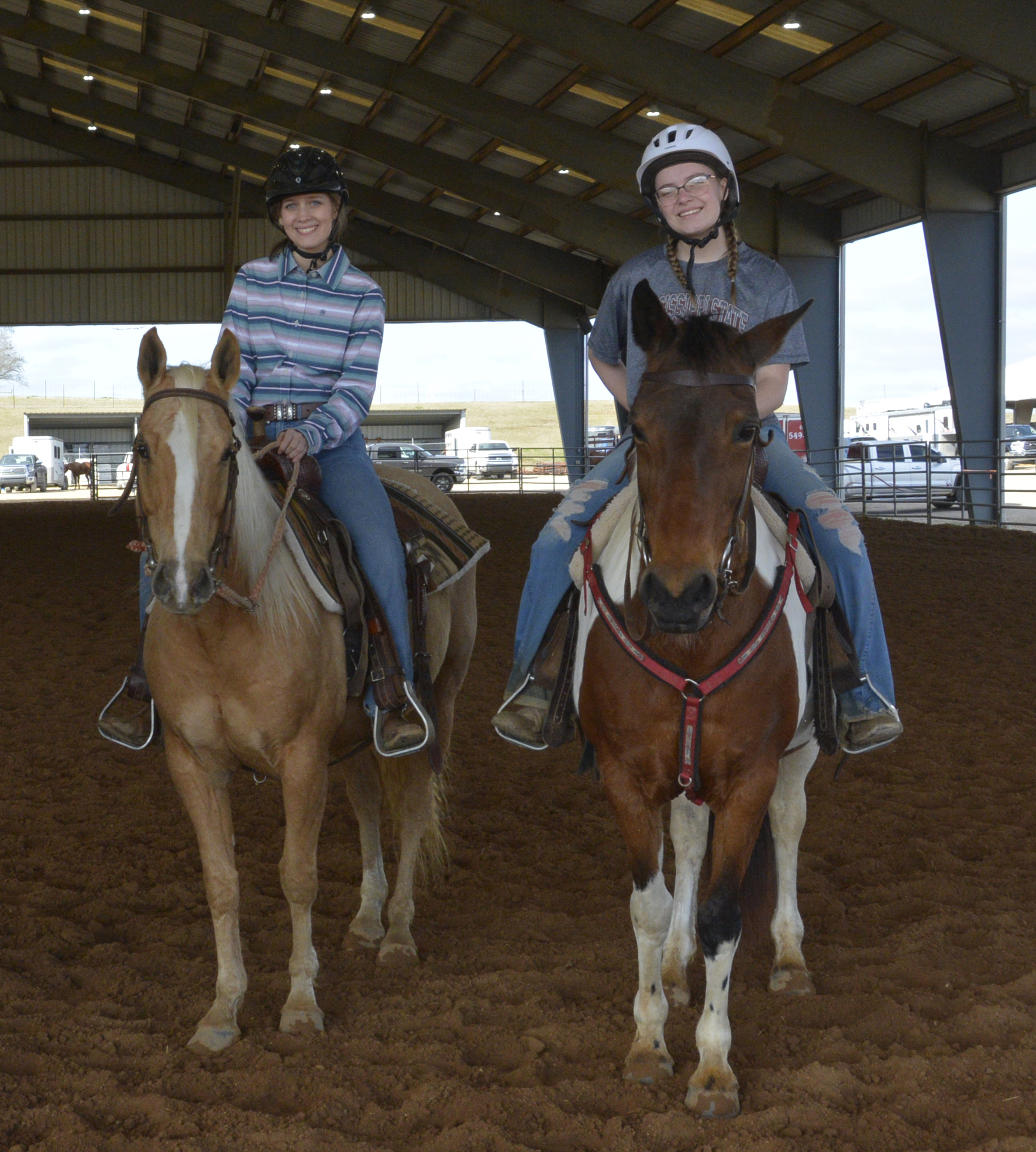 equine therapy